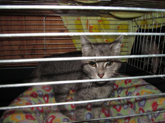 Na křídlech andělů - 1. díl