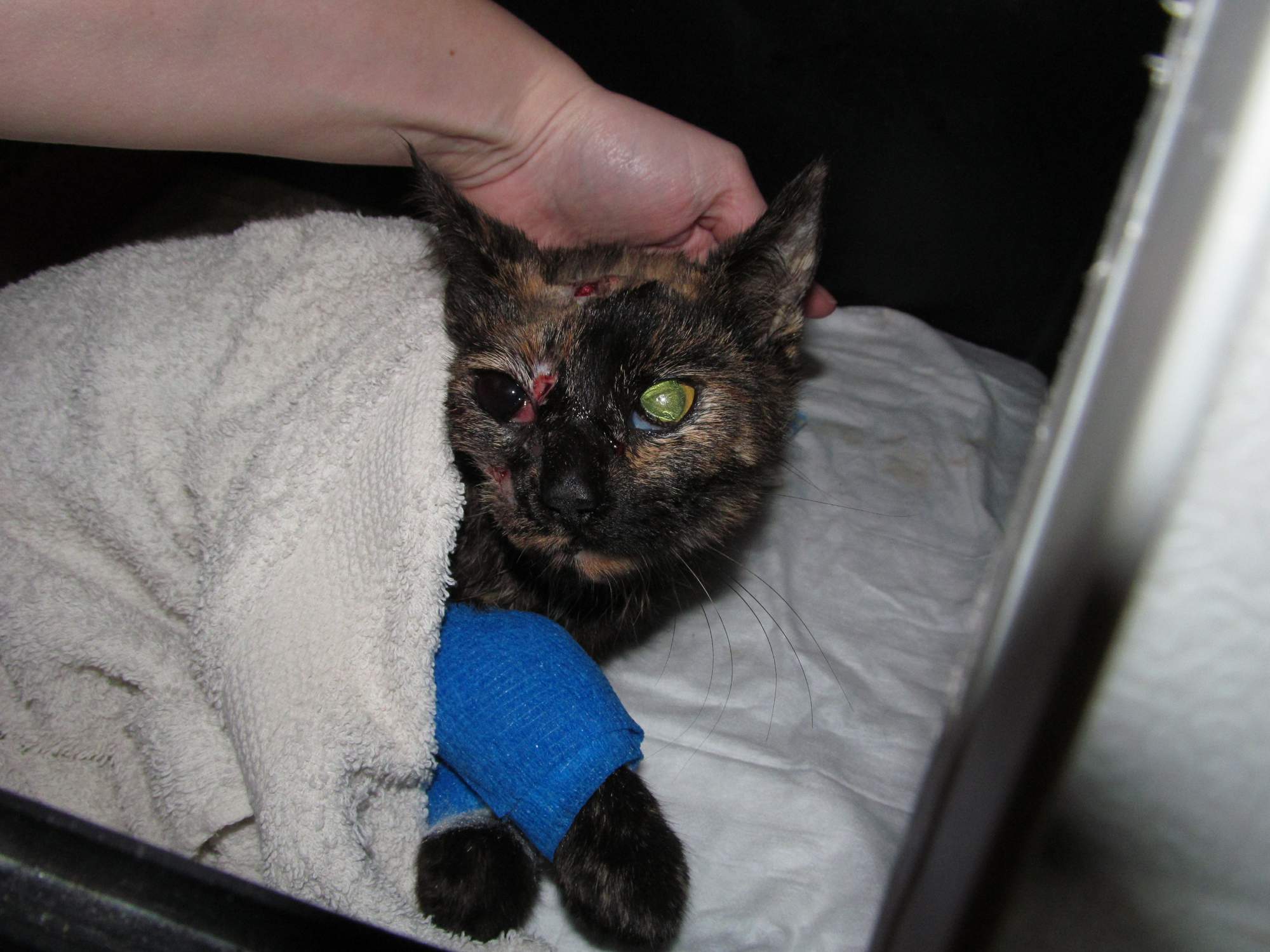 Ve stínu spravedlnosti - 1.díl