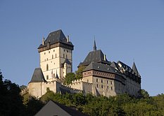 Pozvánka: Kočka z útulku je také krásná!