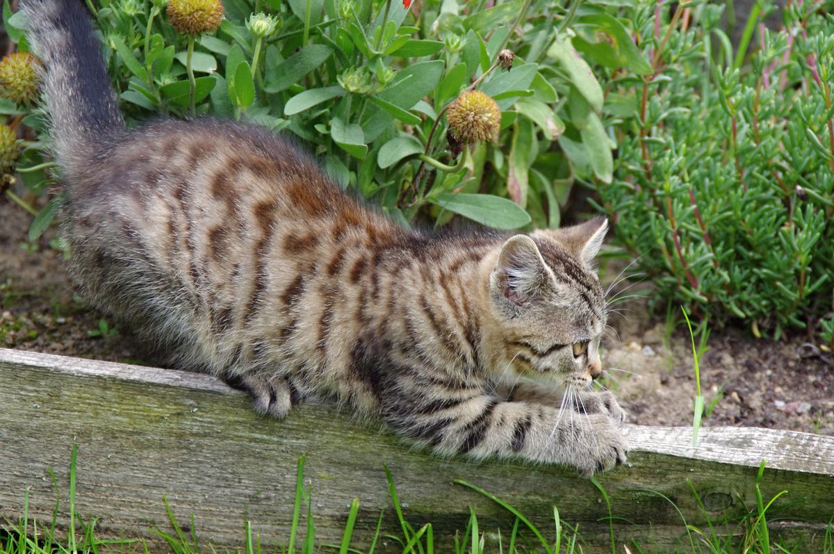 Klíšťata jsou tu!