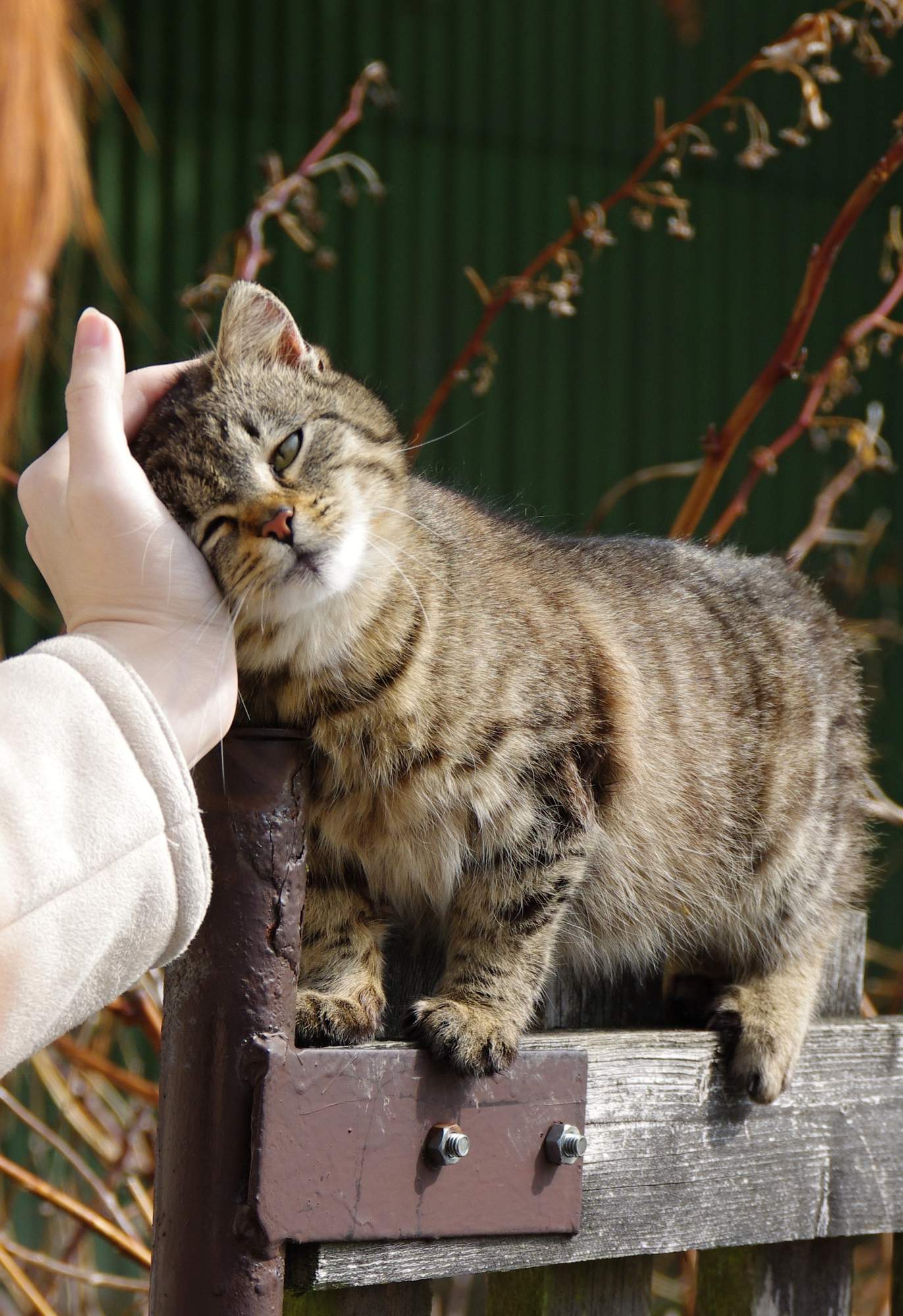Desatero důvodů, proč nezanedbat ochranu před vnitřními parazity