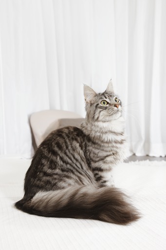 Výběr správné receptury