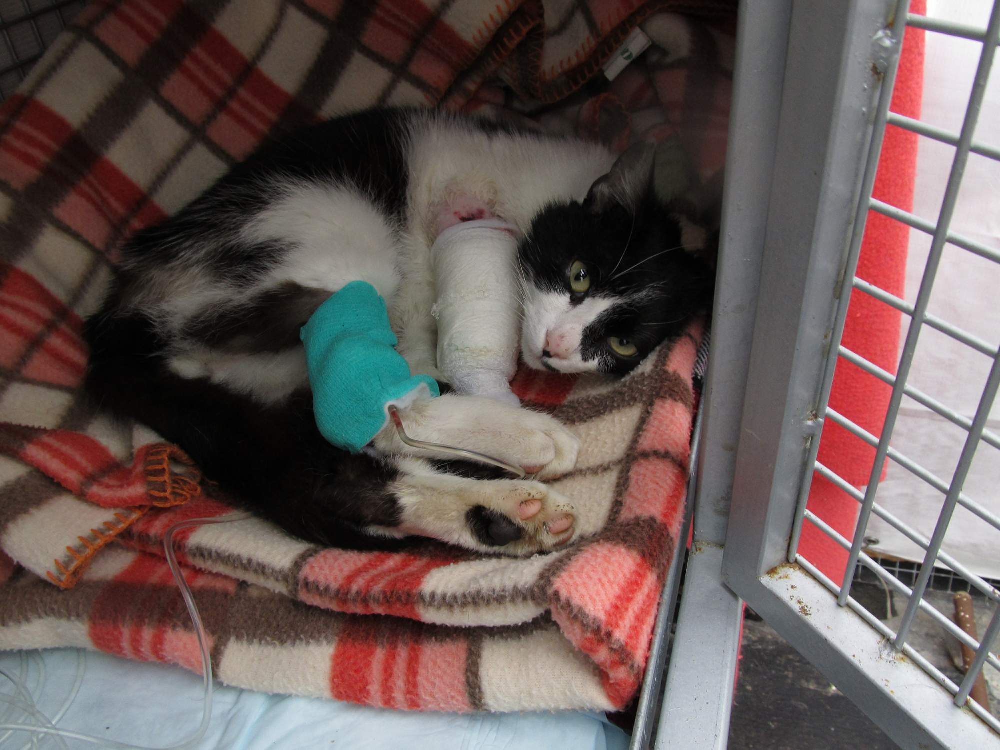 Rozloučení s Ignáckem