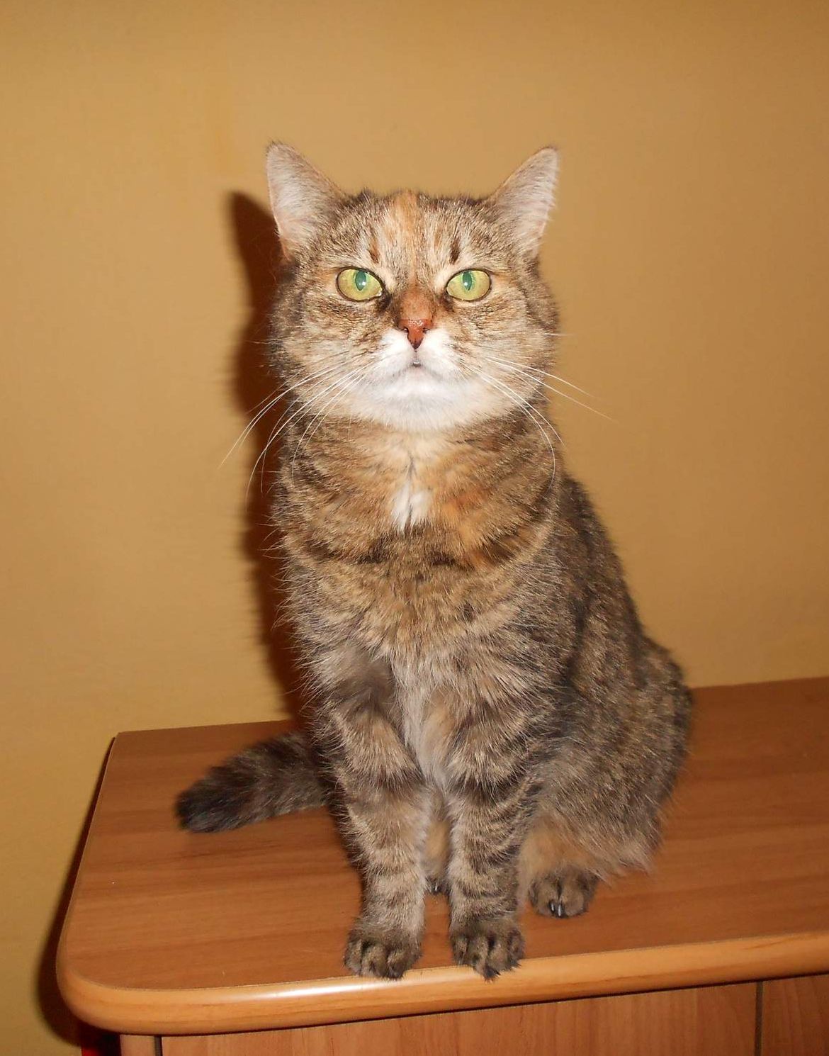 Lízinka a postvakcinační sarkom