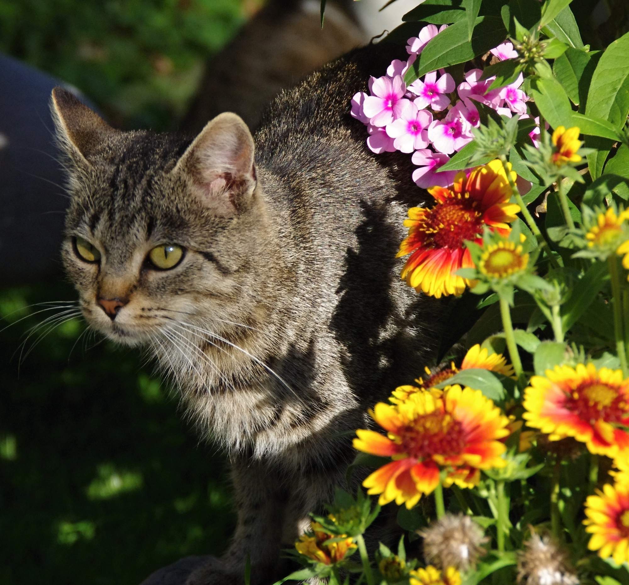 Největší veterinární špičky se sjedou do Prahy