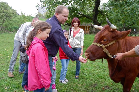 Oslavte Den zvířat v Toulcově dvoře