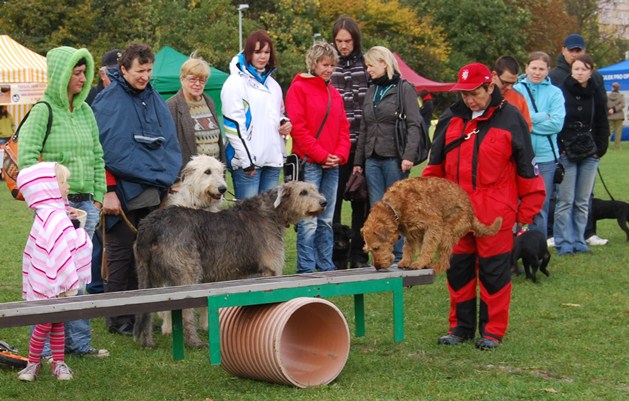 Světový den zvířat 2013 &#8211; jak bylo?