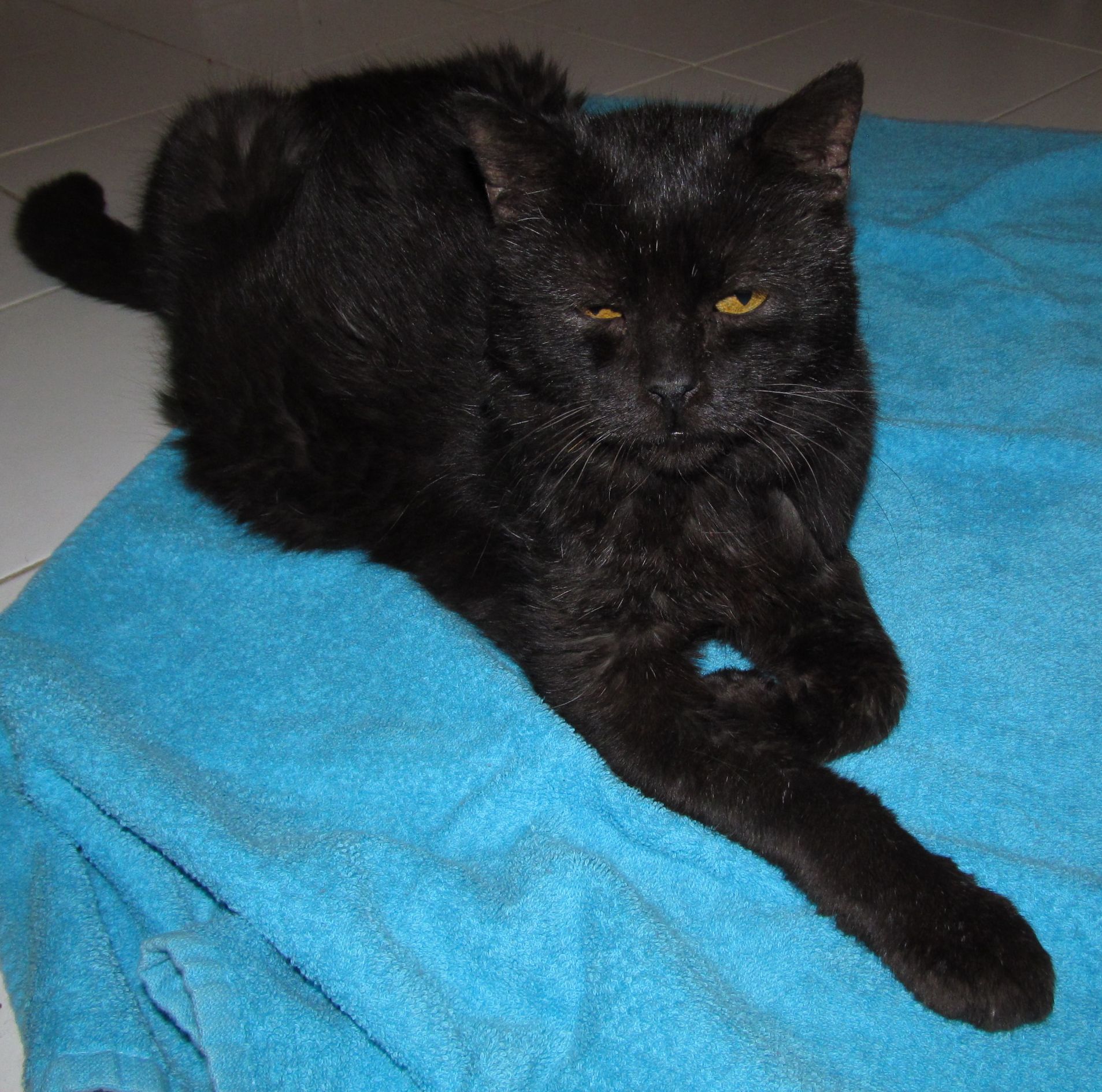 Z blahobytu až na samotné dno &#8211; 1.díl