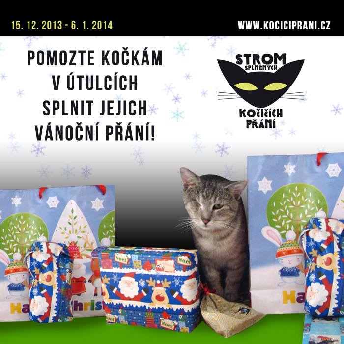 Strom splněných kočičích přání - mise Vánoce 2013