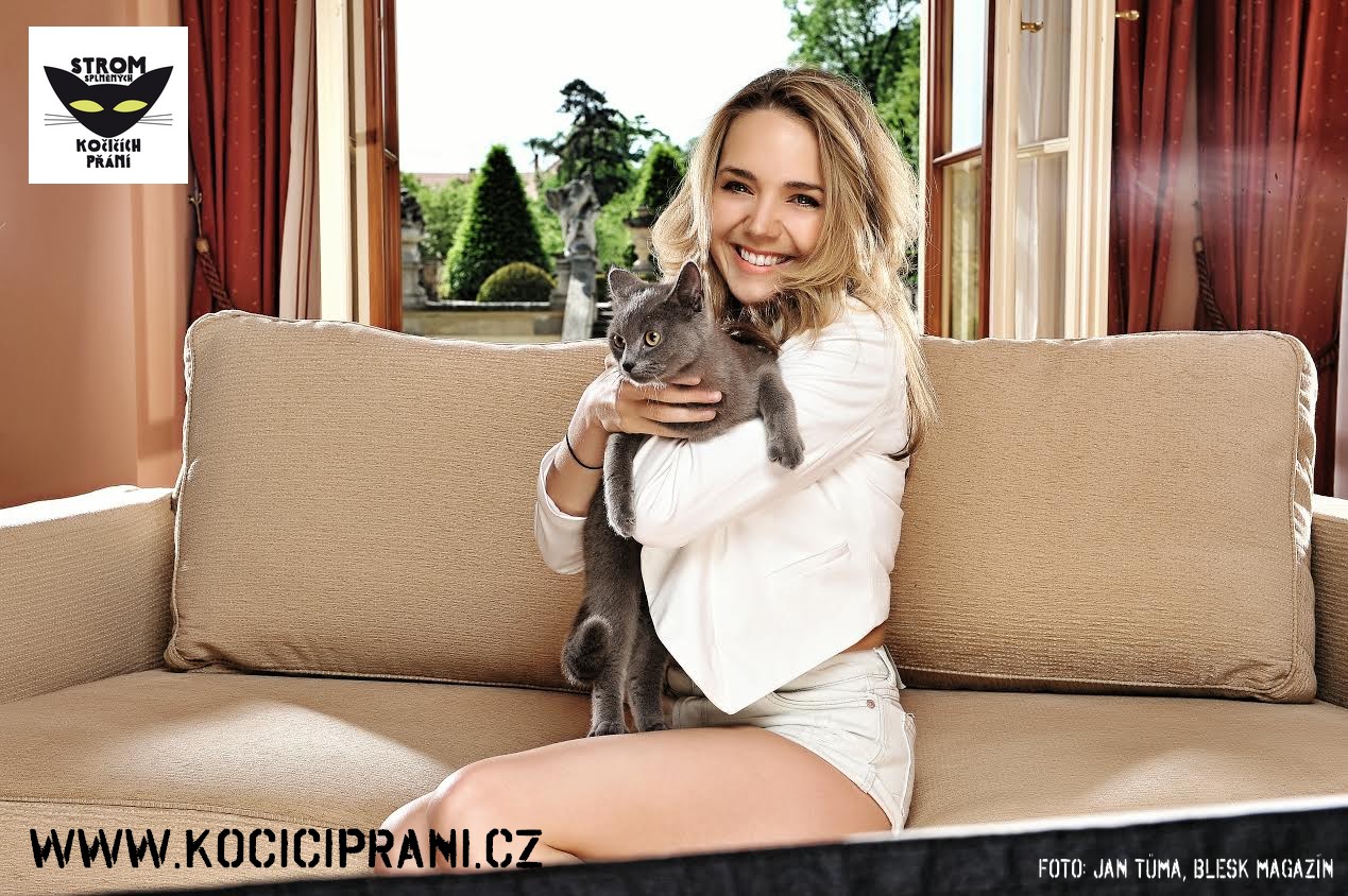 Kočičí přání s podporou Lucie Vondráčkové překonává tisíc obdarovaných koček