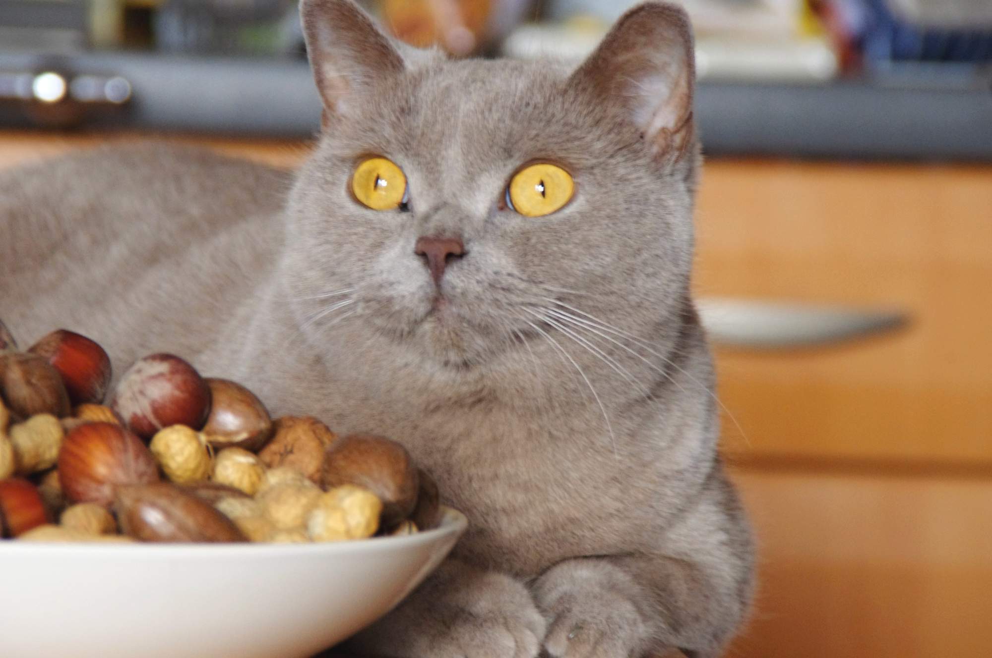 A zase to odčervování