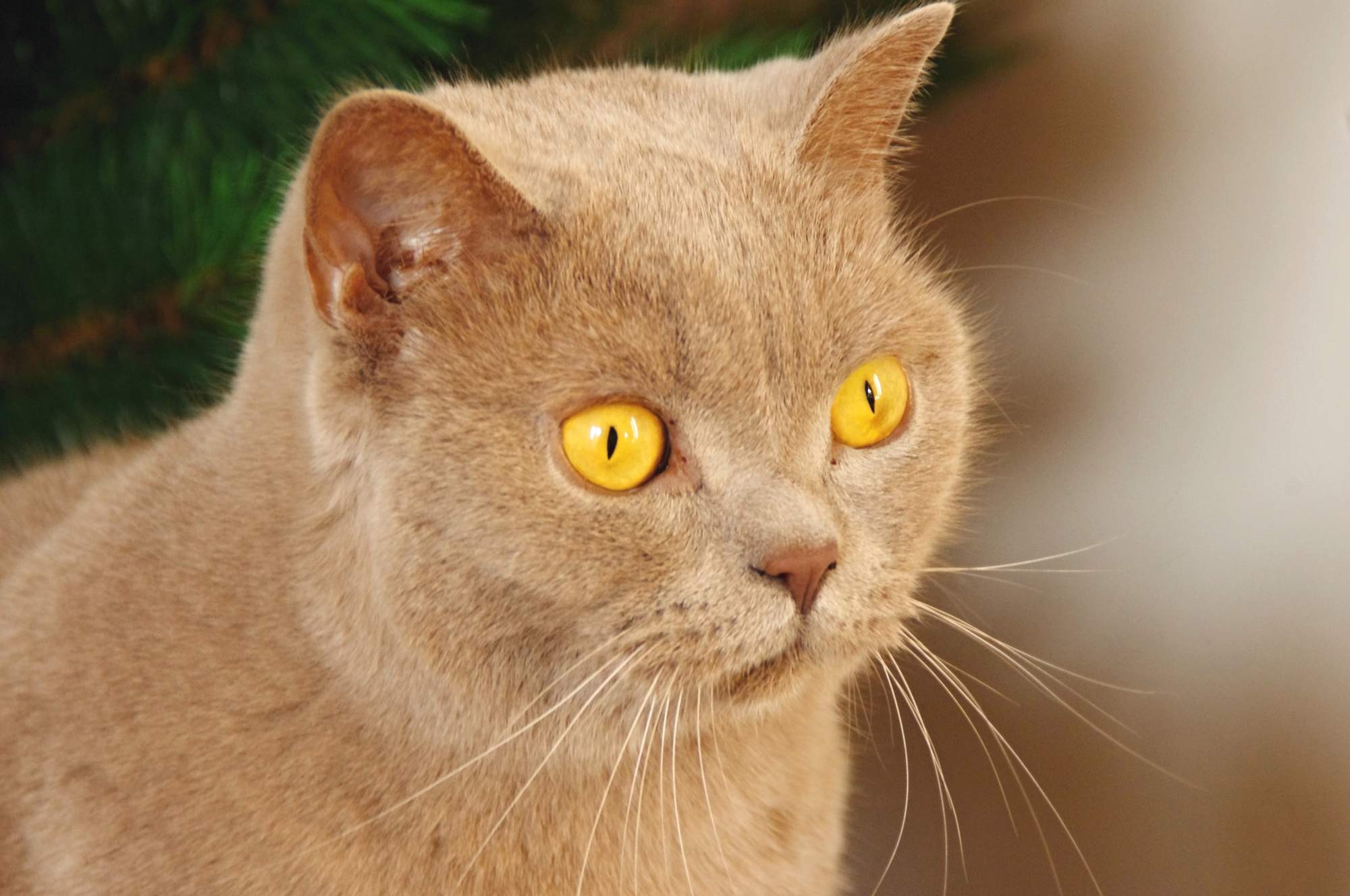 Pozvánka na veletrh