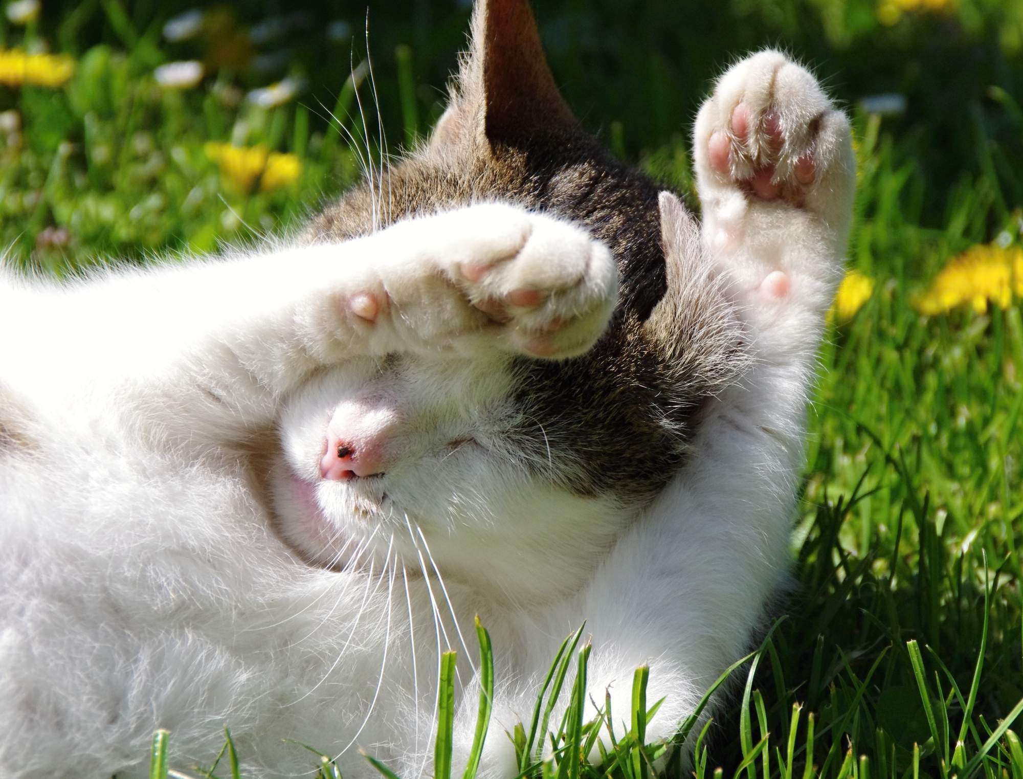 Nepříjemné bodnutí