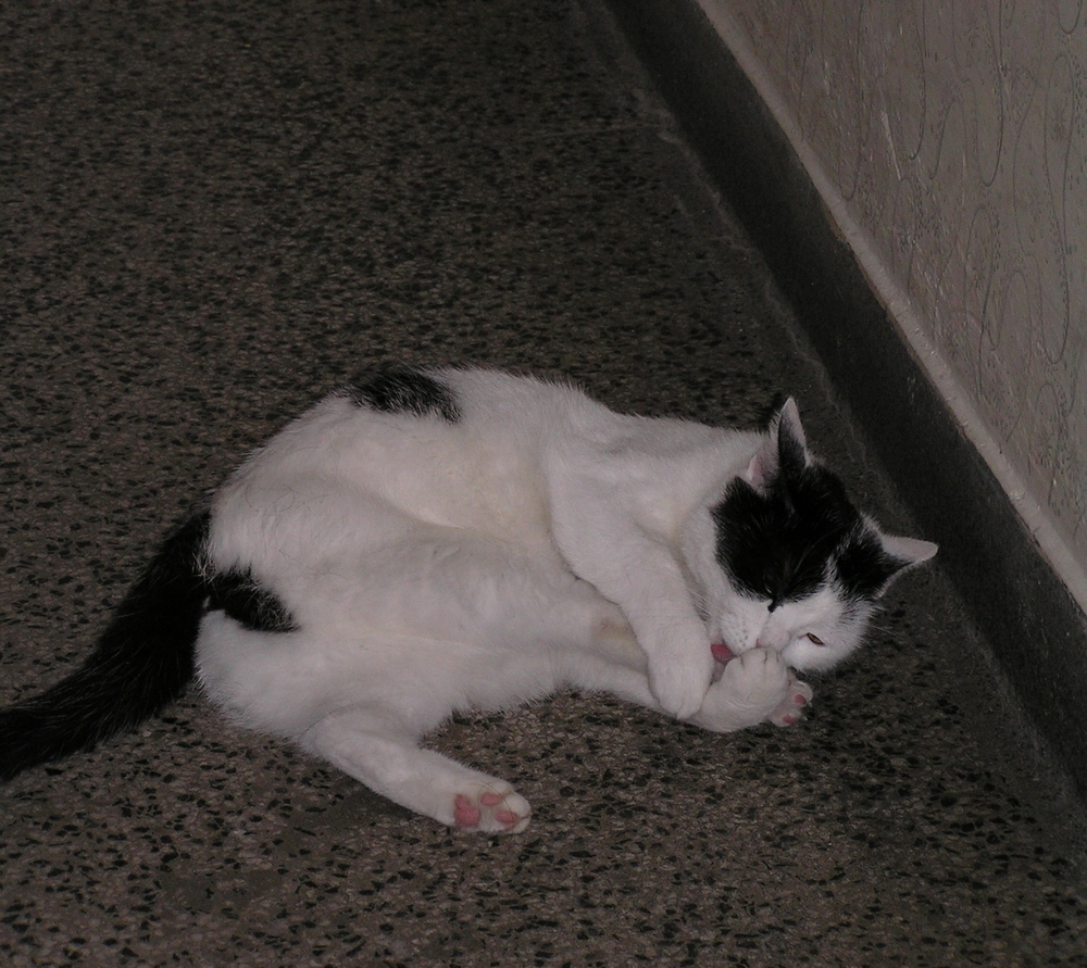 Nátlak, nebo nutkání?