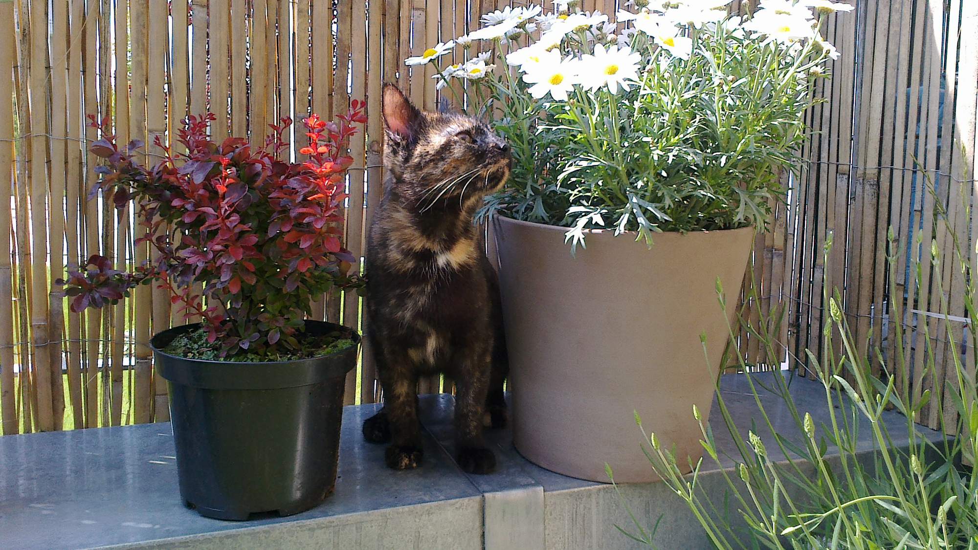 Ve stínu spravedlnosti &#8211; 3. díl