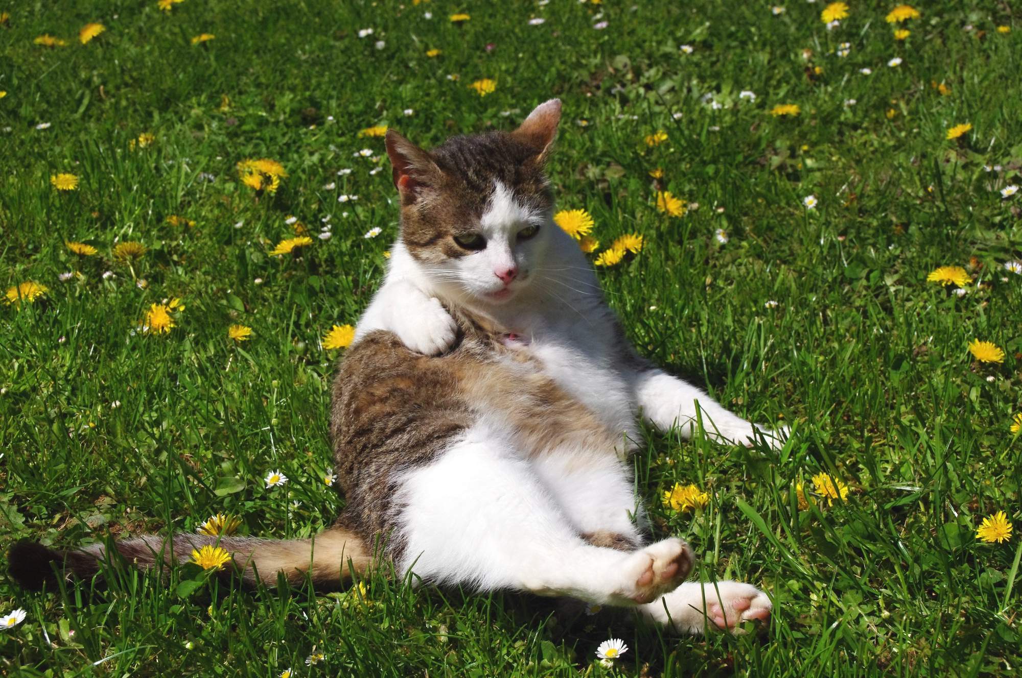 Aktivita klíšťat dosahuje vrcholu