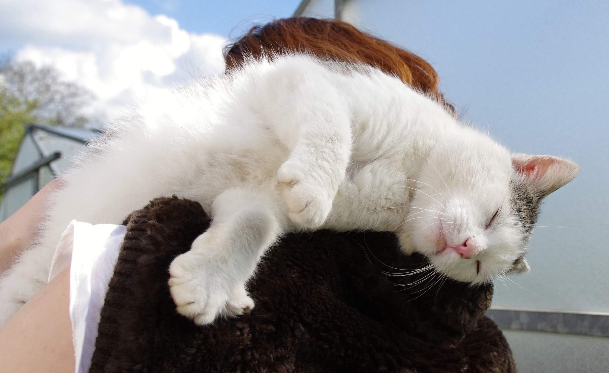 Pozvánka na veletrh