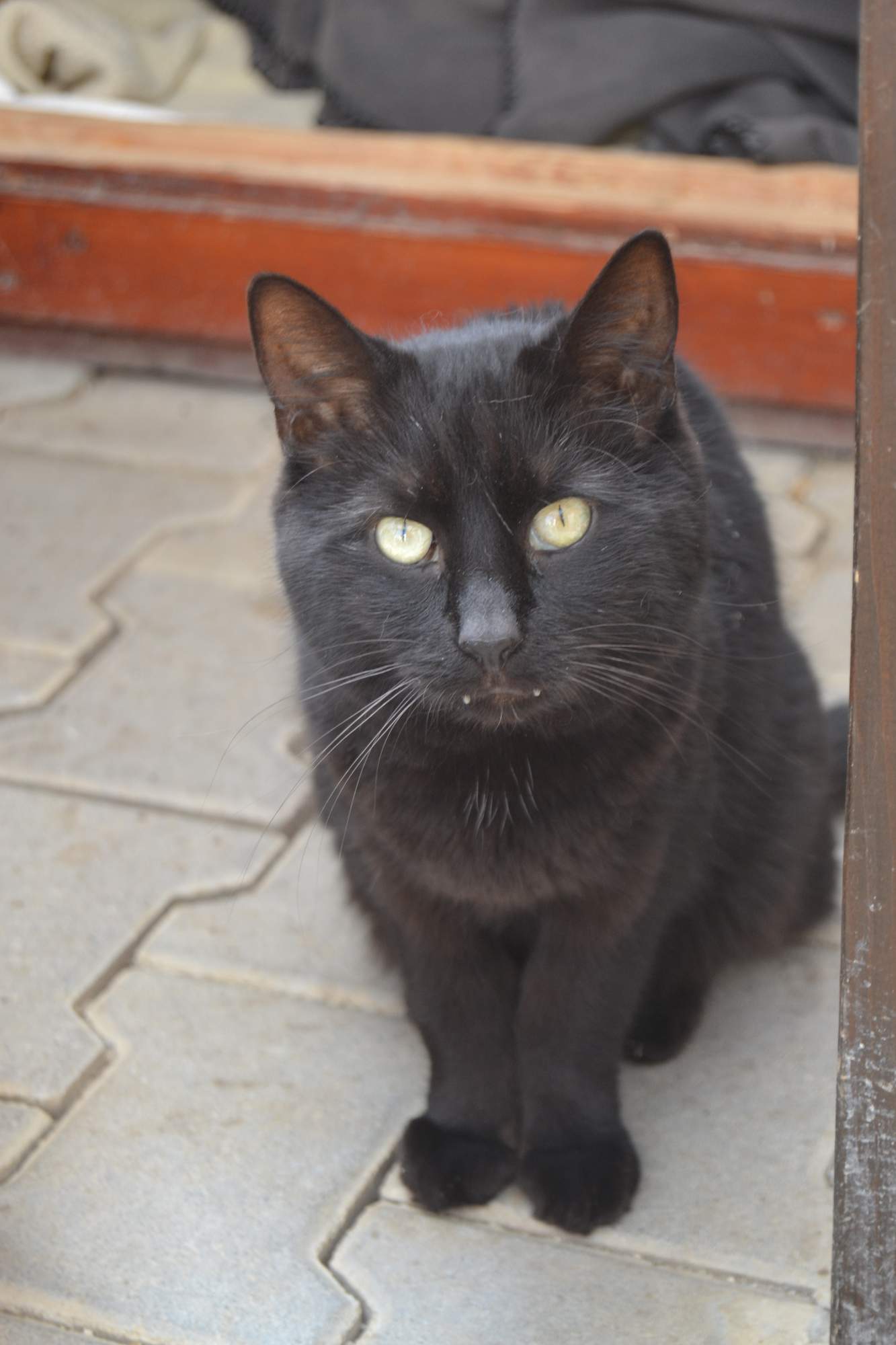 Poslední rozloučení s milovaným Kennym