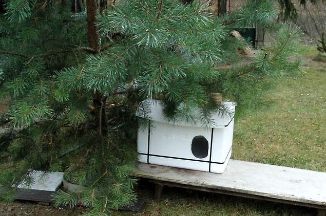 Jak vyrobit polystyrenové boudičky pro venkovní kočky?