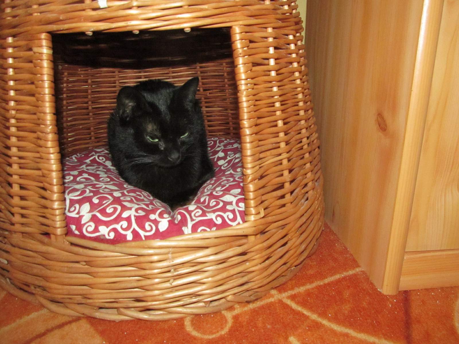 Boříčkův příběh