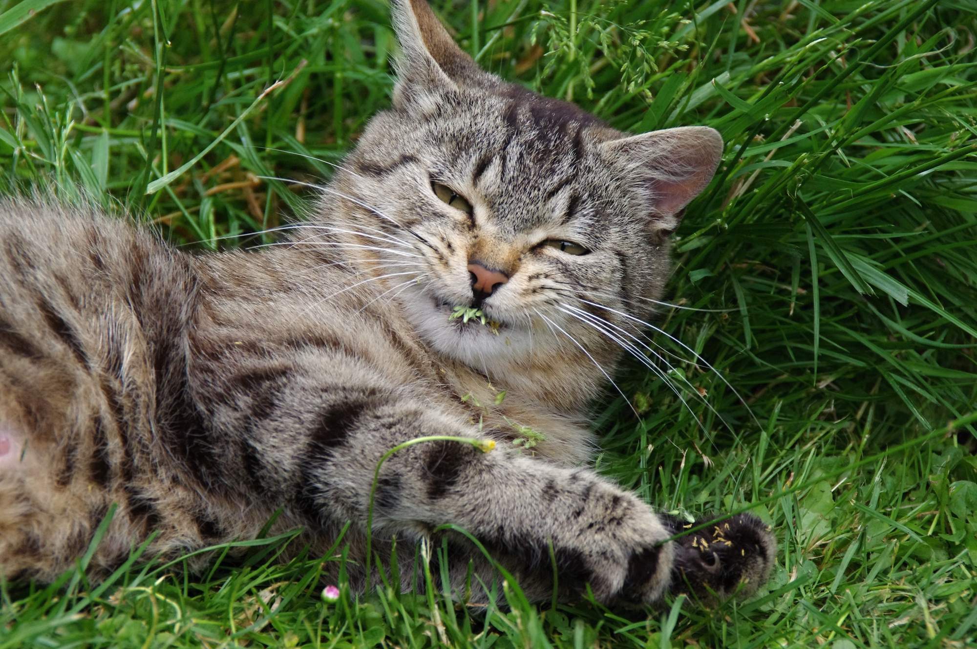 Mastitida - šetrná pomoc