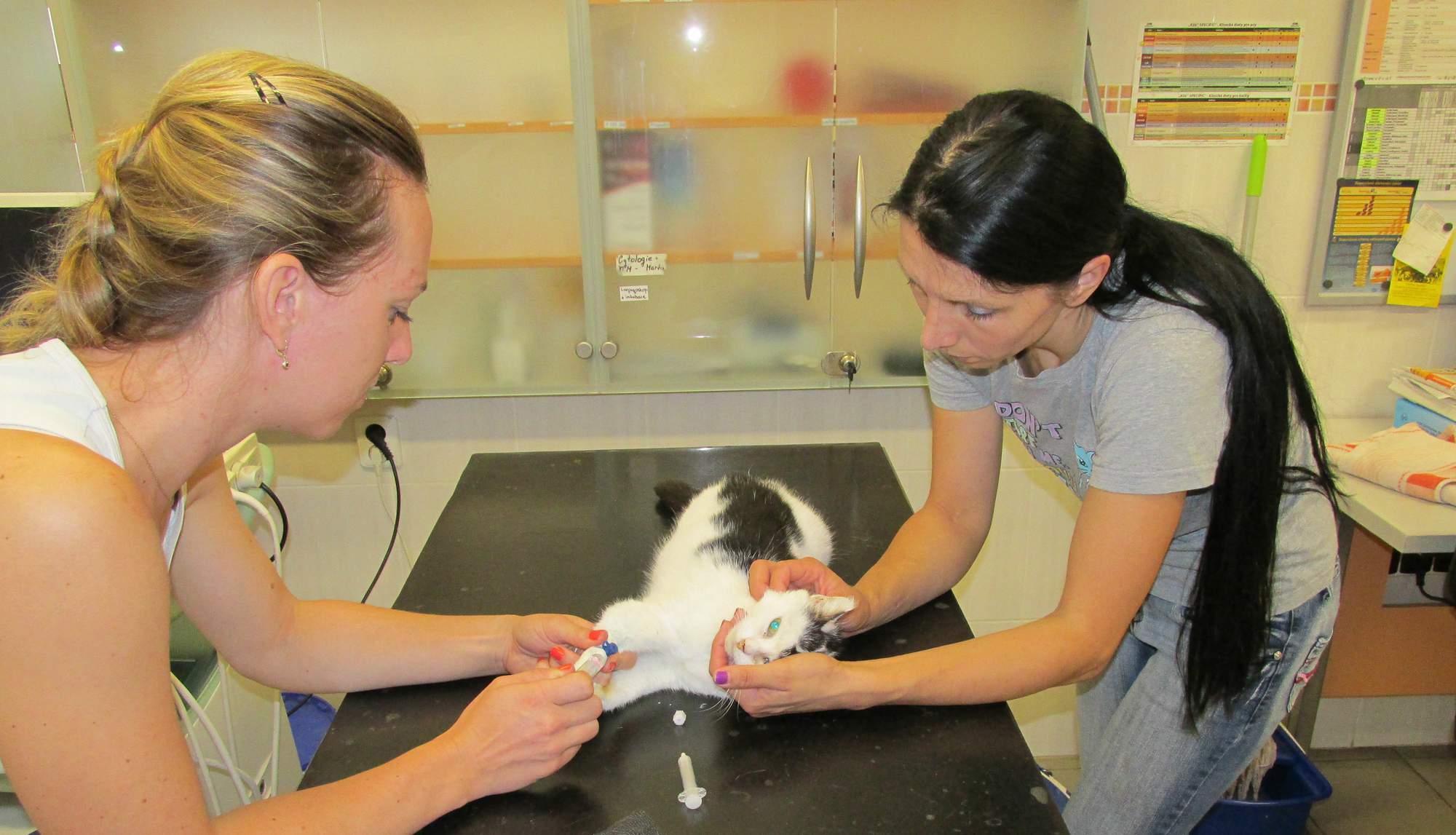 Rozloučení s Osvaldíkem