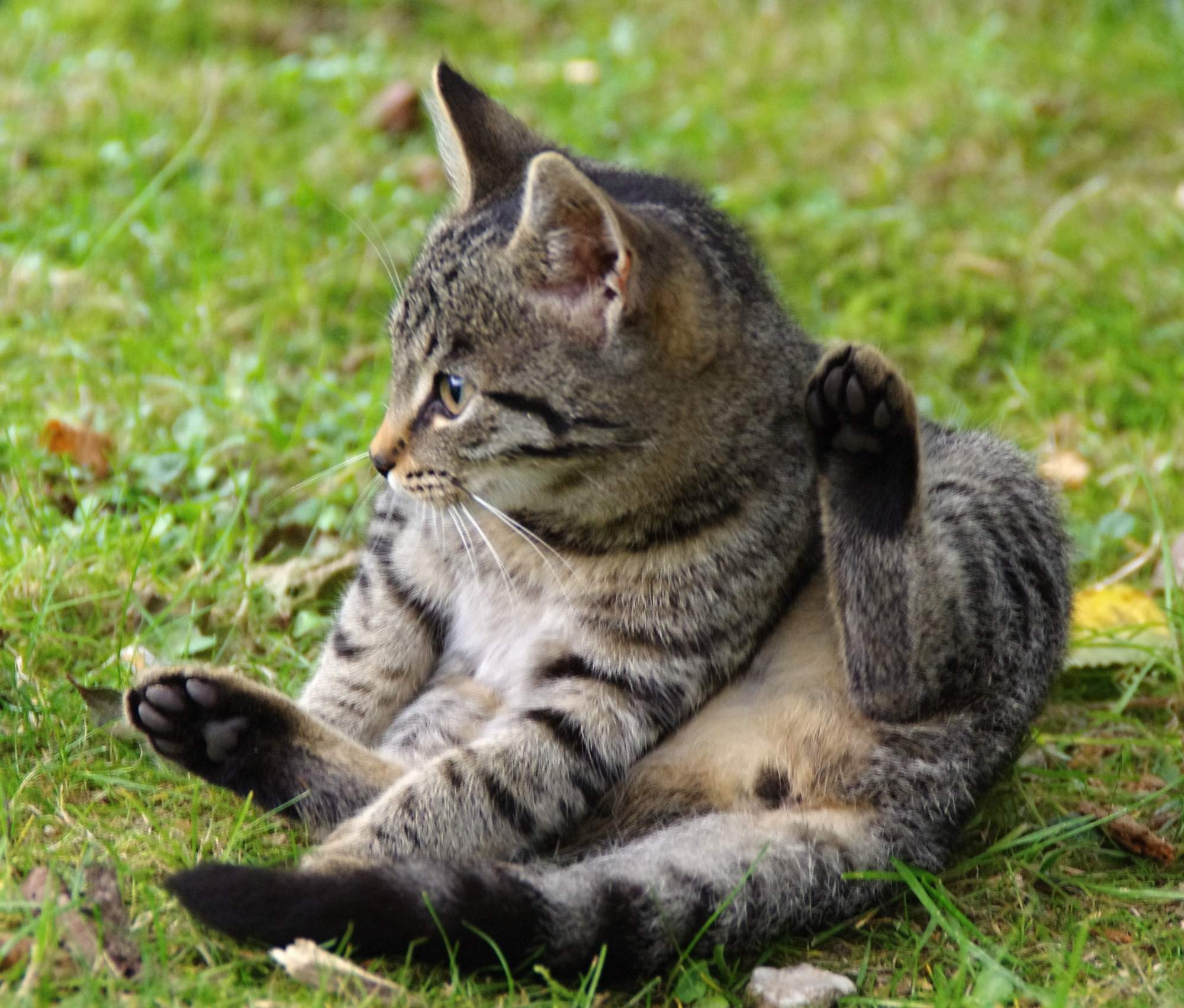 Když ono tak smutně kouká