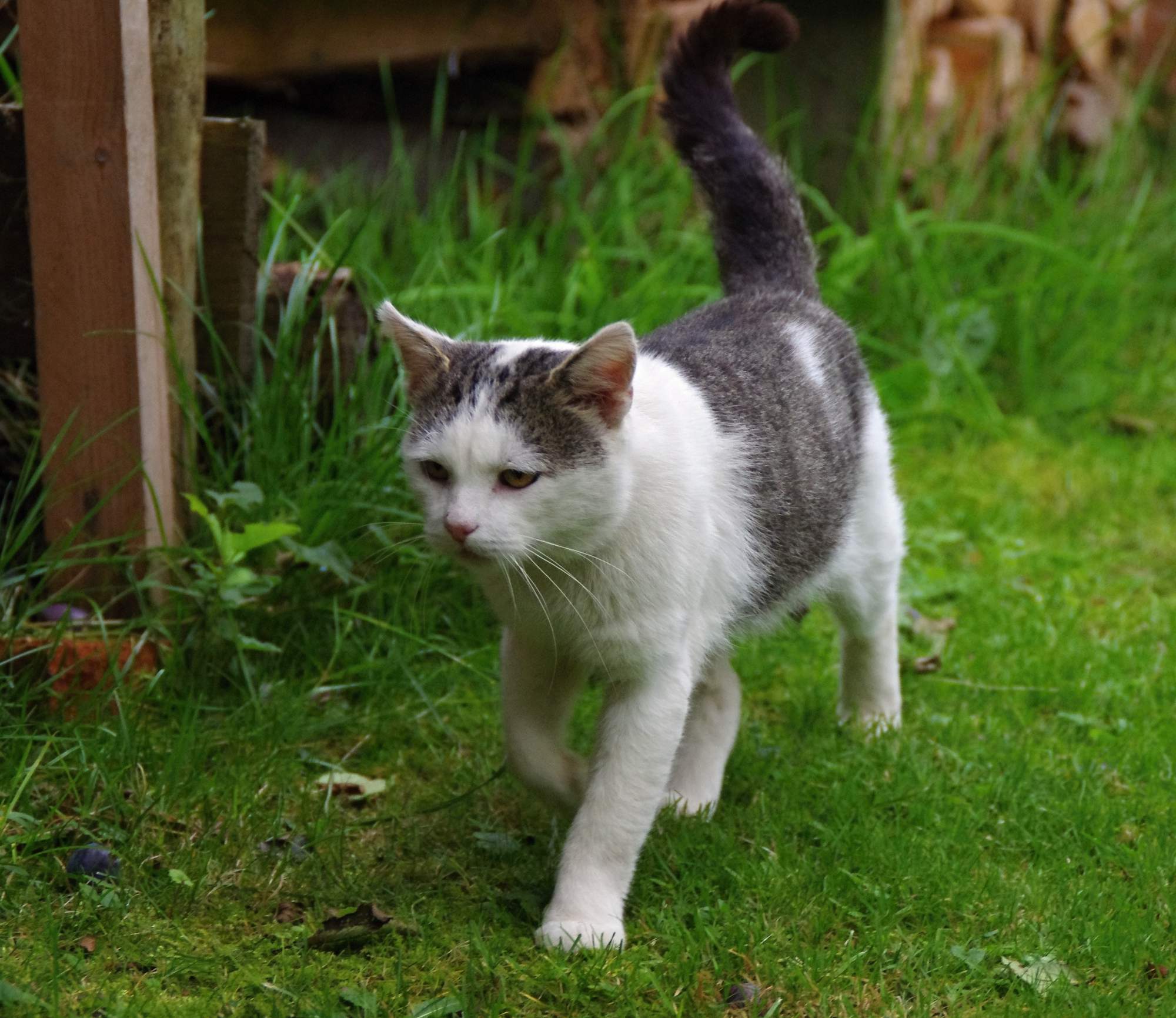 Zásady prevence před vnitřními parazity