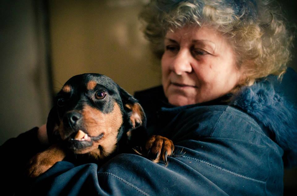 Představení útulku - Azyl Gaia