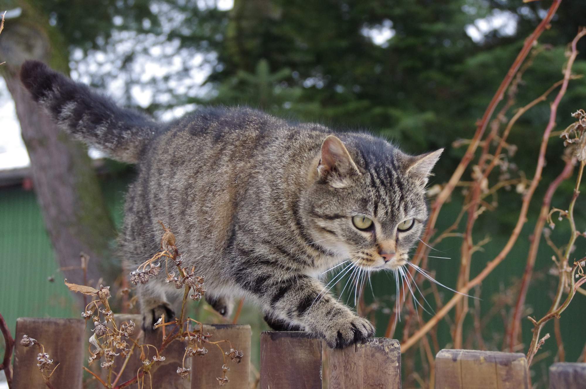 Šetrná léčba onemocnění kůže