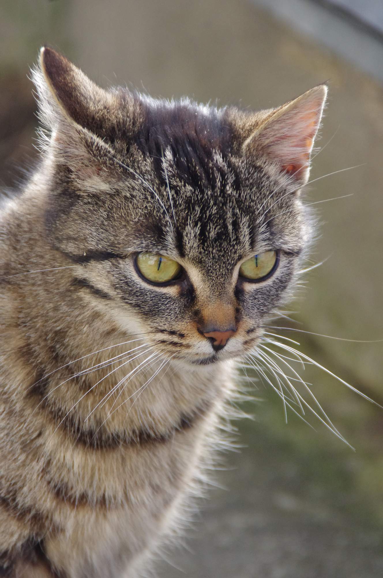 Nácvik na přepravku