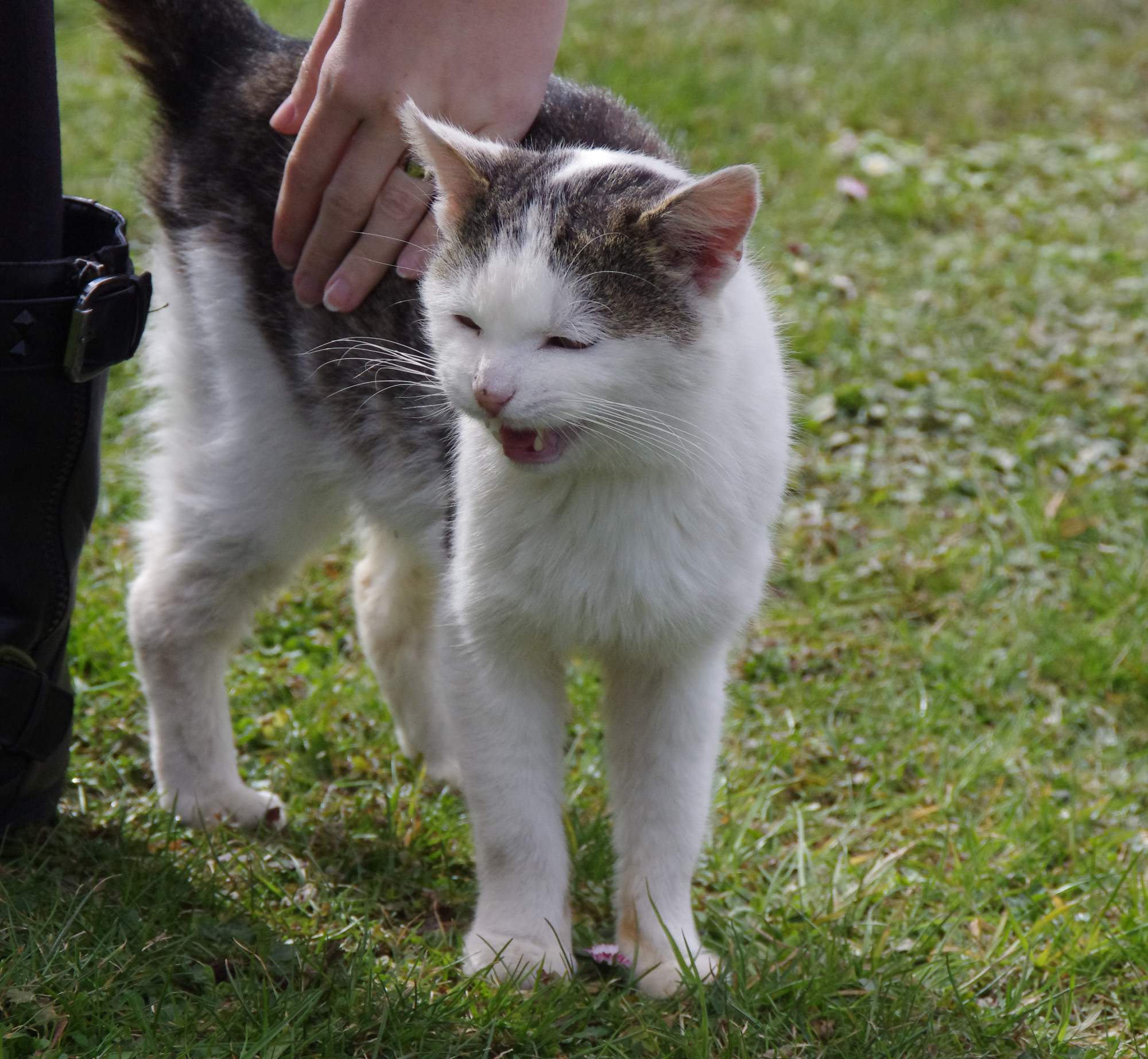 Známá komunikátorka se zvířaty z Jižní Afriky přijede do ČR