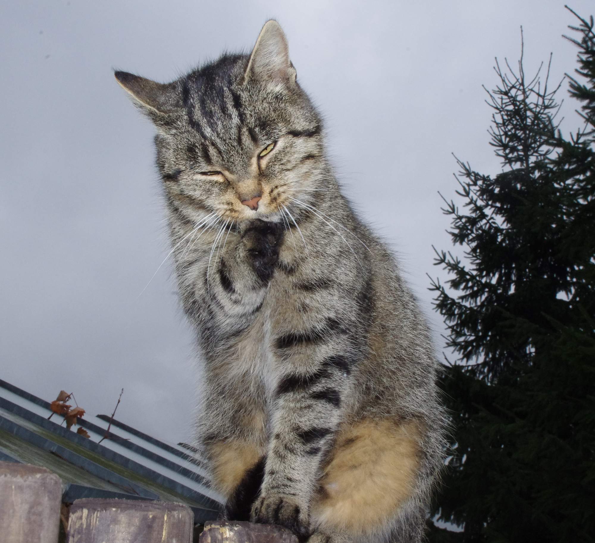 Šetrná léčba zánětů v tlamě