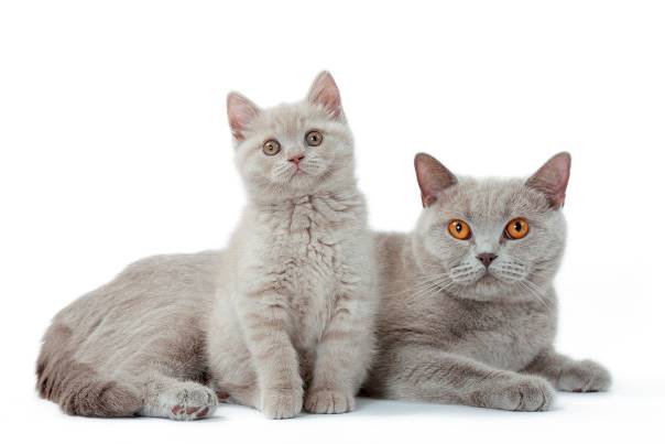 A zase ta výživa...