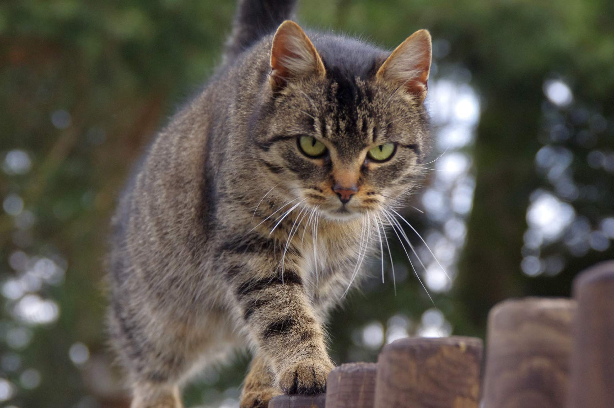 Zásady správné péče o zuby