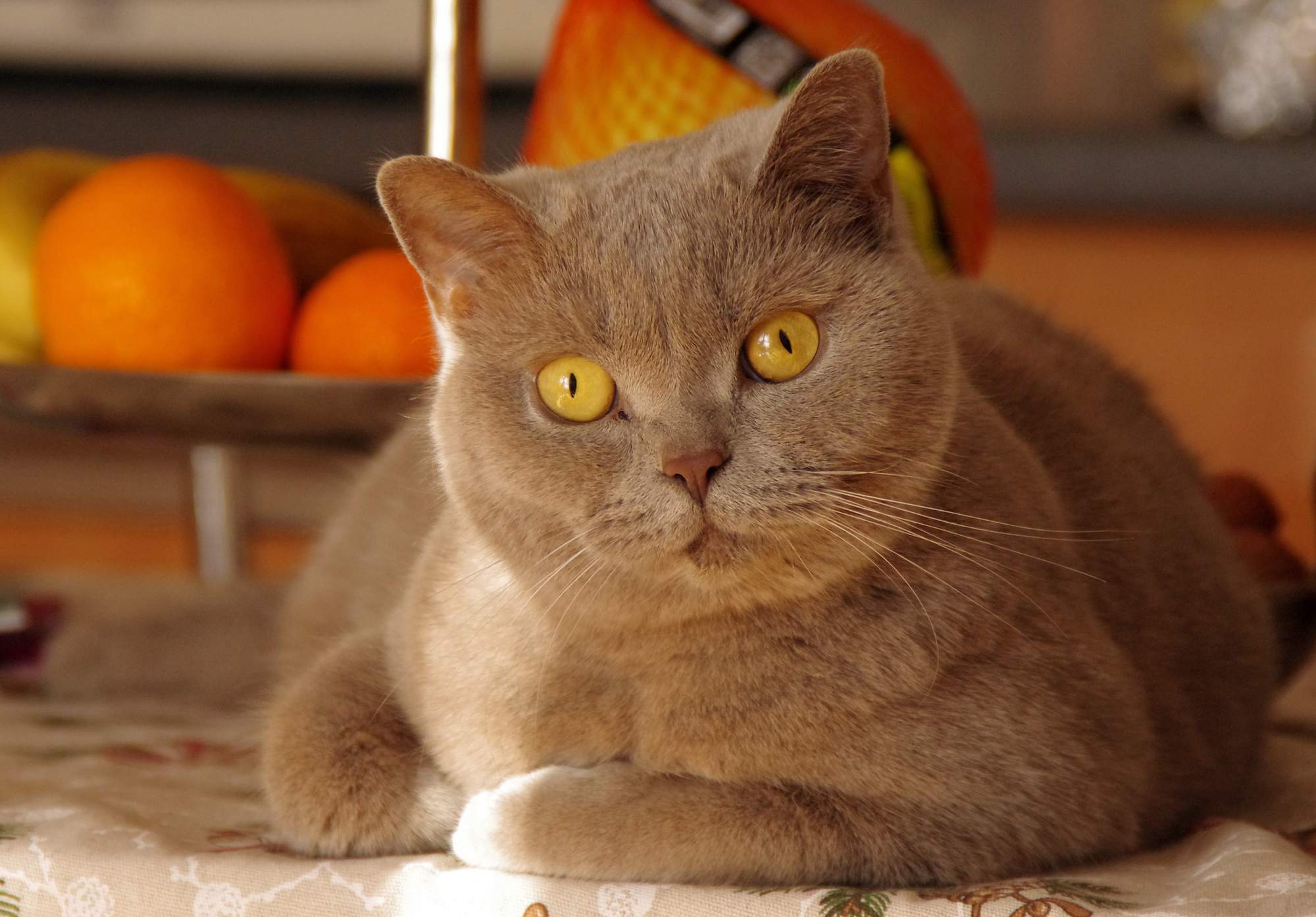 Proč se po operaci třese? 