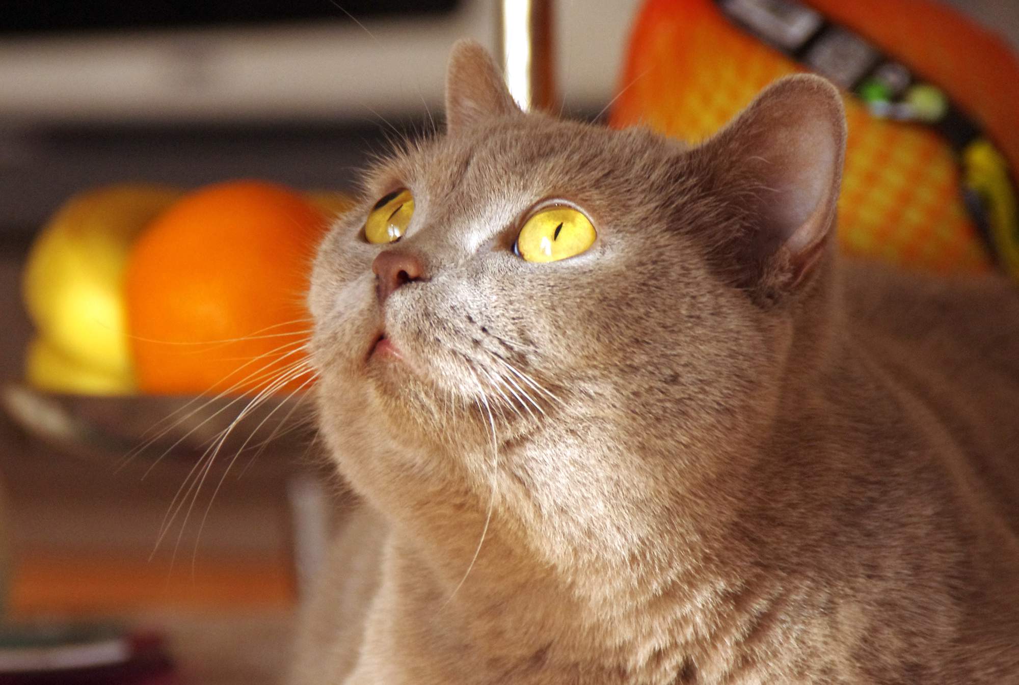 Pozvánka na veletrh