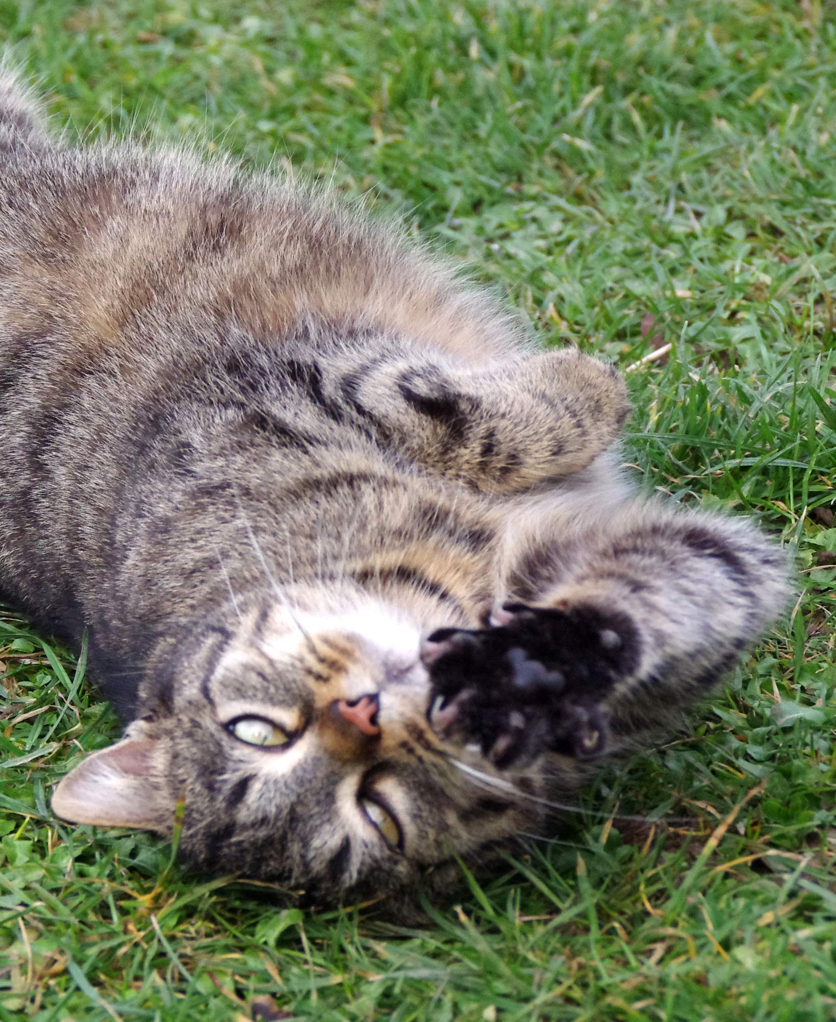 Kombinovat antiparazitika?