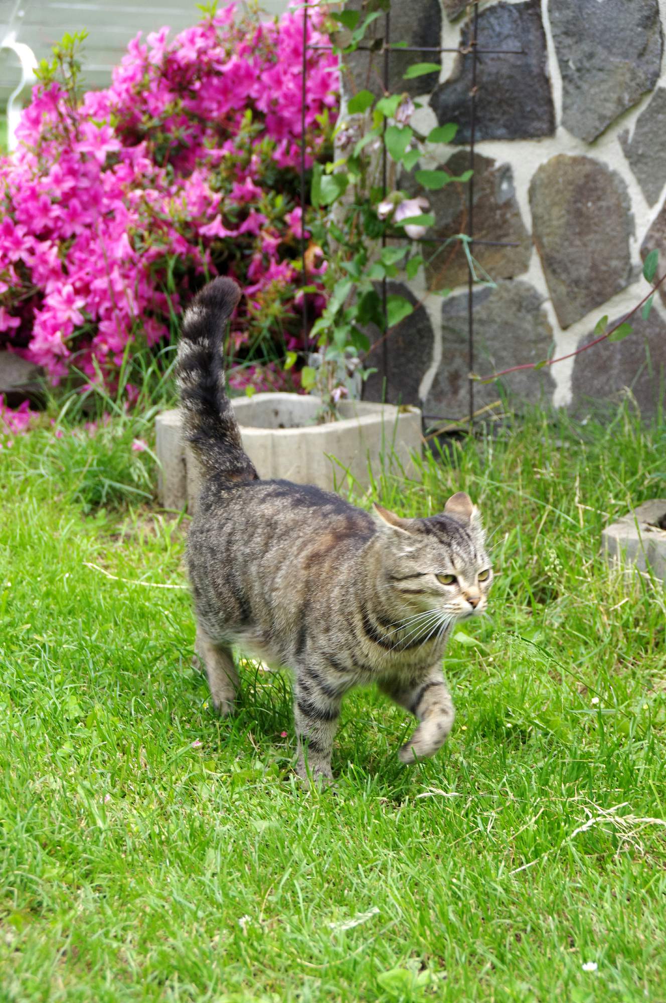 Co zařídit před cestou do zahraničí?