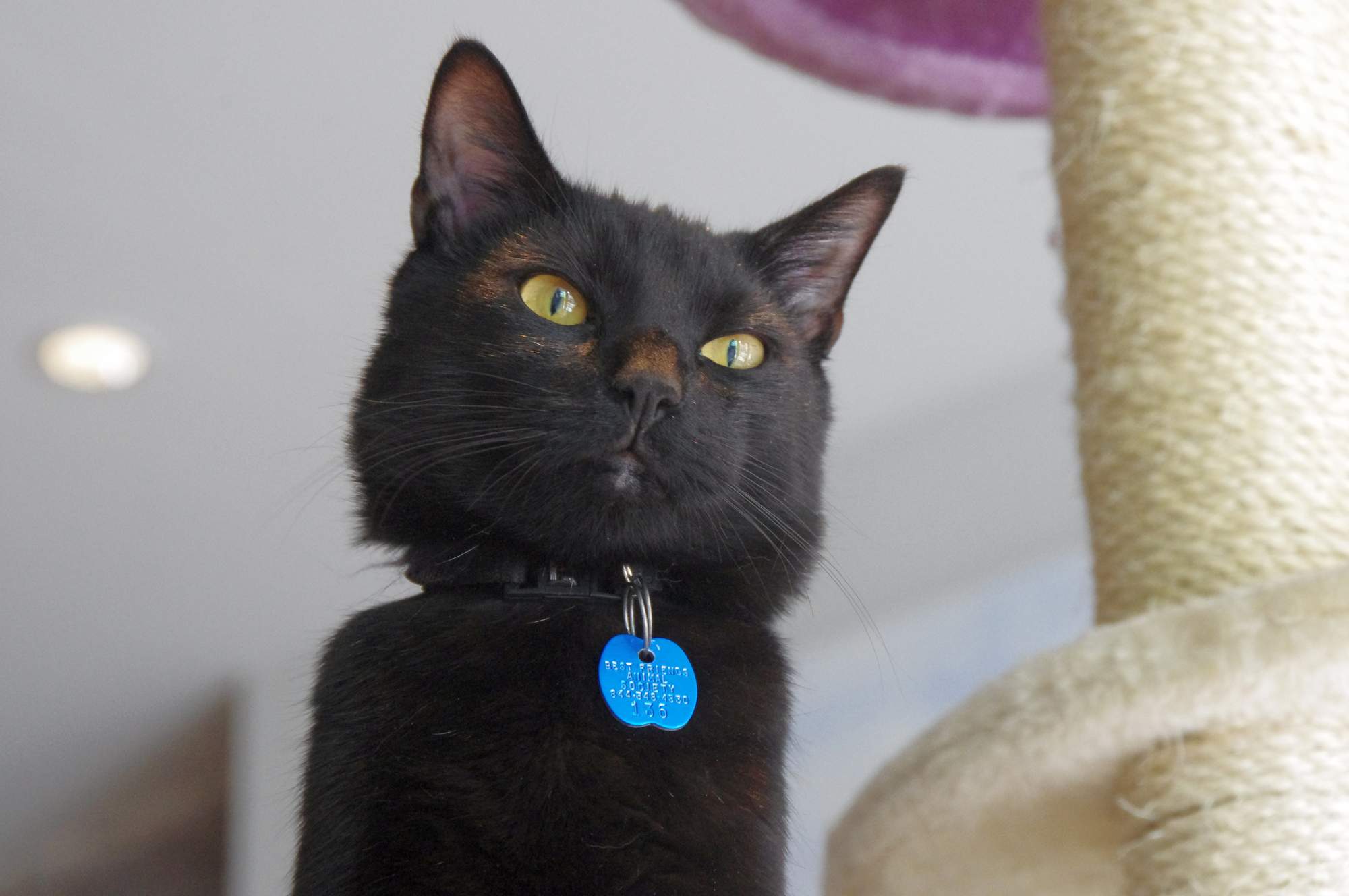 Stres z narození dítěte