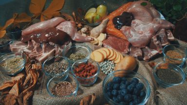 Kočičí jídelníček