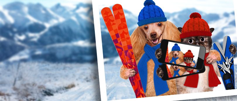 FOTOSOUTĚŽ - Kdy je váš pes nebo kočička nejšťastnější?