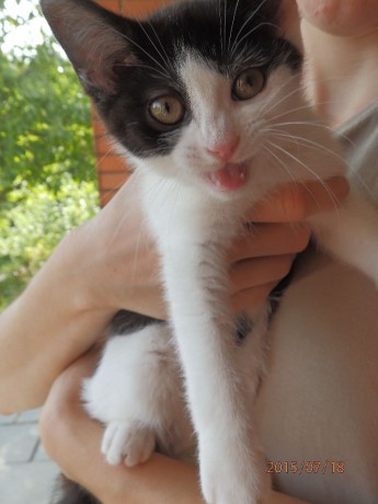 Představení útulku - Dobré Ruce, o.s. 