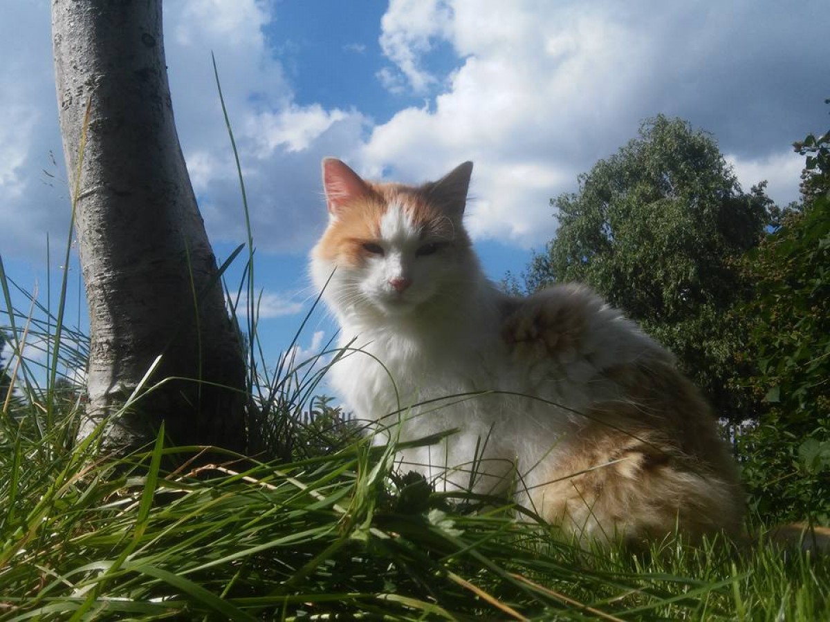 Nová fotosoutěž na téma: Všude dobře, venku nejlíp! 