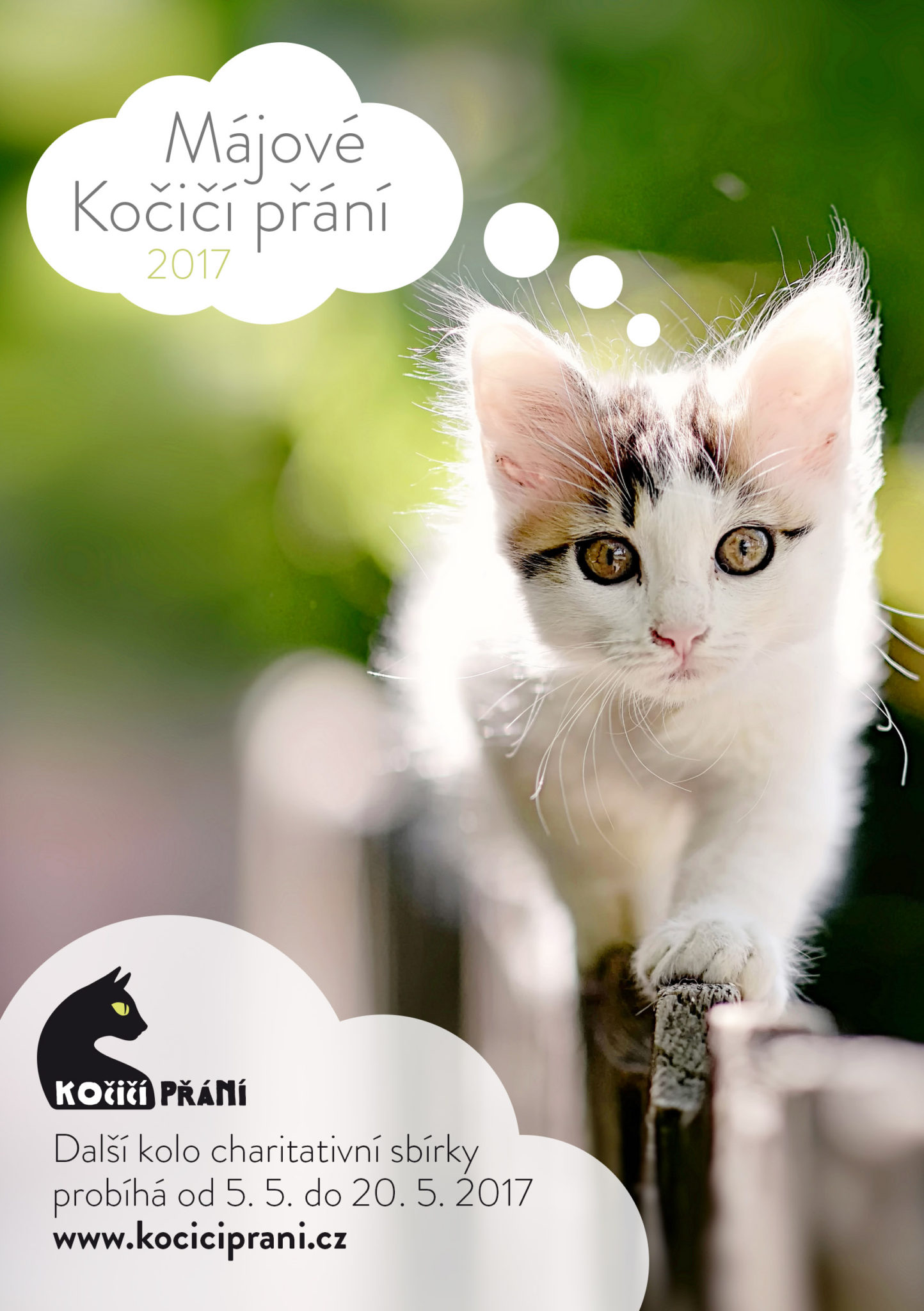 Dnes odstartovalo další kolo oblíbené charitativní sbírky Kočičí přání