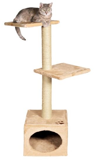 Škrabadlo je pro kočky nutnost