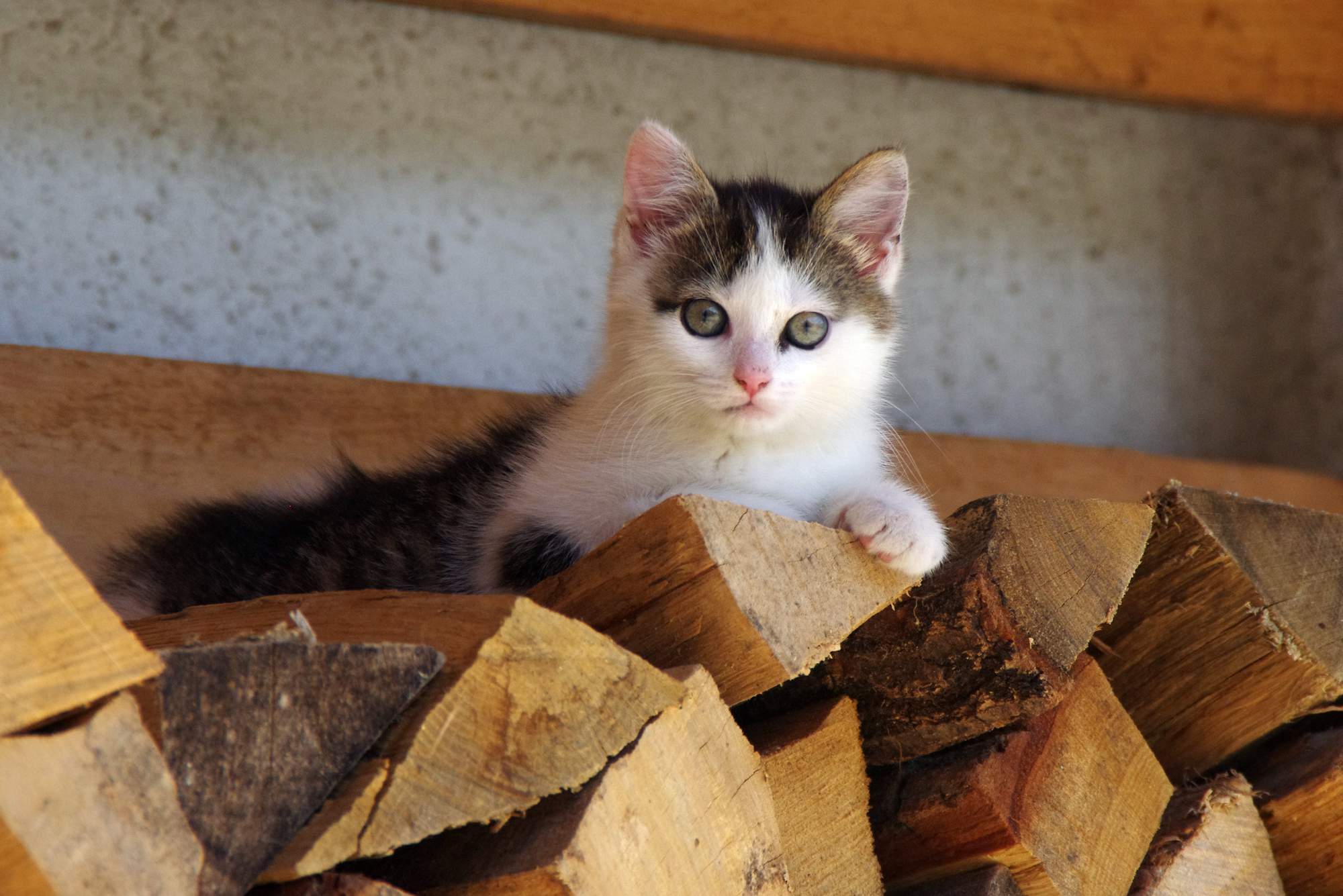 Odblešení nepodceňujte