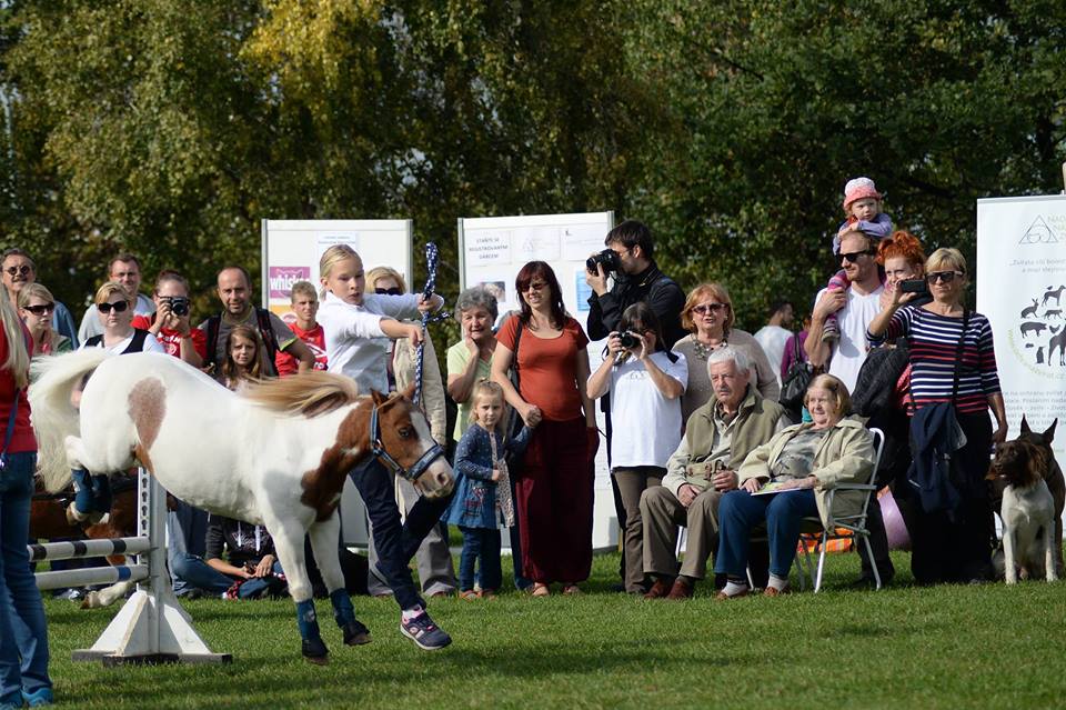 Pozvánka na Světový den zvířat 2017