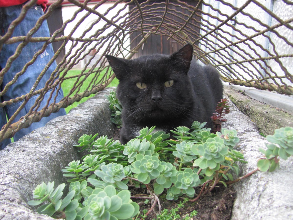 Všude dobře, venku nejlíp!