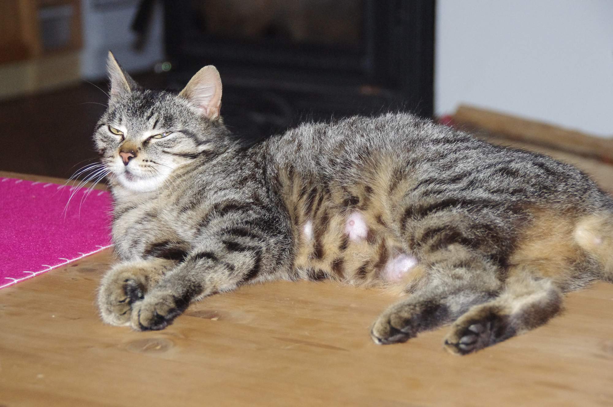 Příznaky blížícího se porodu